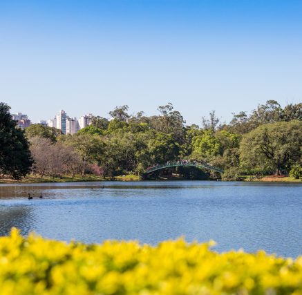 5 lugares na capital paulista para conhecer na primavera