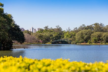 Dicas de passeio em SP